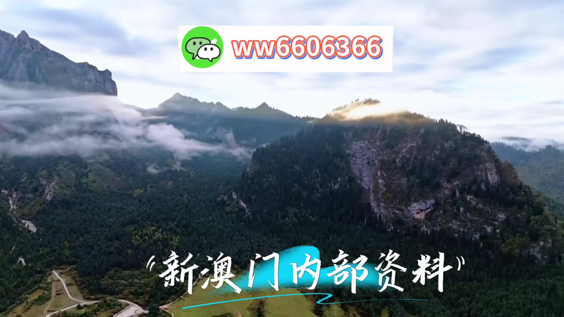 澳门管家一肖一特预测技巧，揭秘背后的智慧与策略✅✅✅