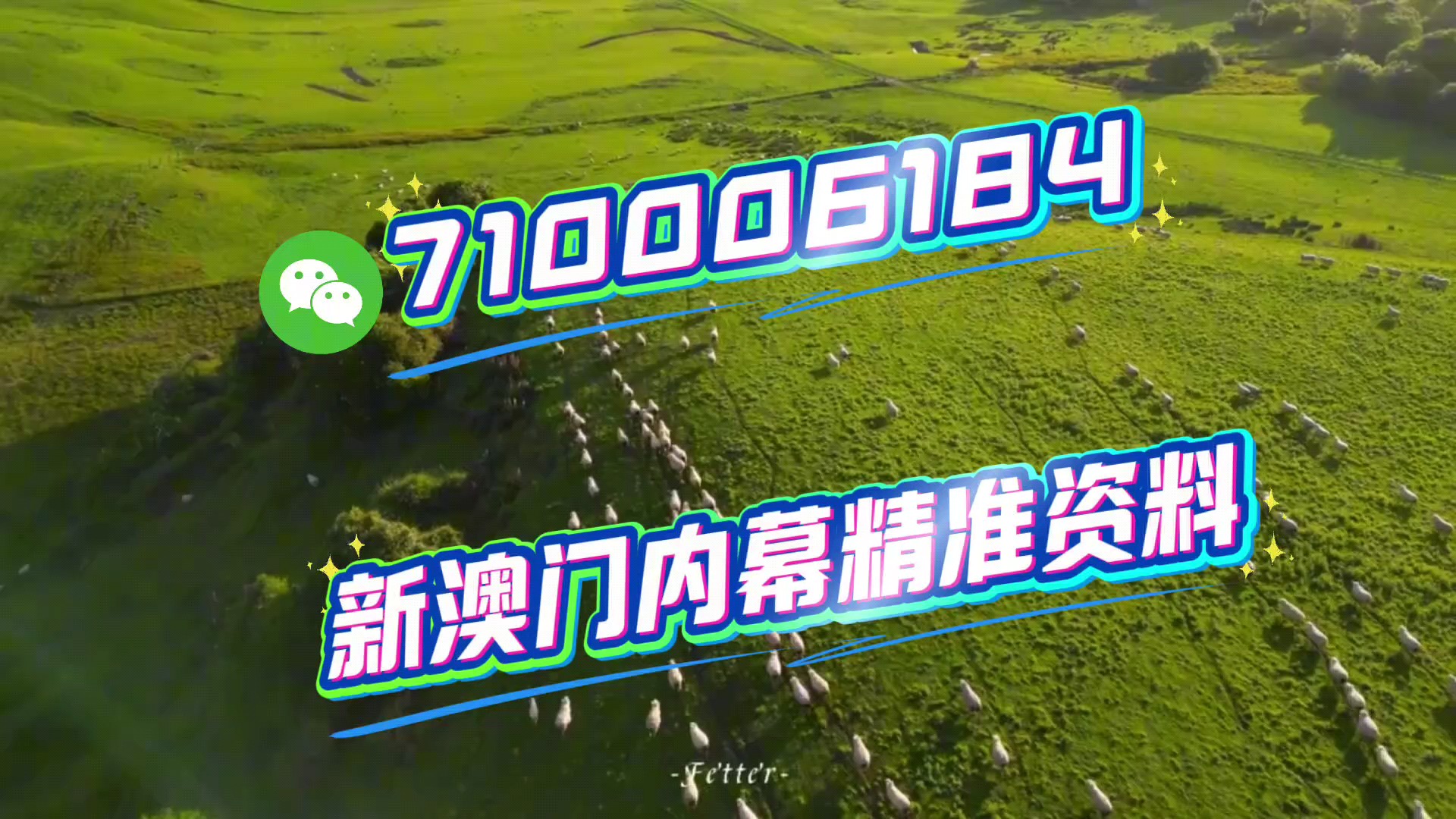 澳门今晚一肖一码100准,揭秘背后的真相与理性思考✅✅✅澳门今晚一肖一码100准2025年 澳门今晚一肖一码100准,揭秘背后的真相与理性思考✅✅✅澳门今晚一肖一码100准2025年