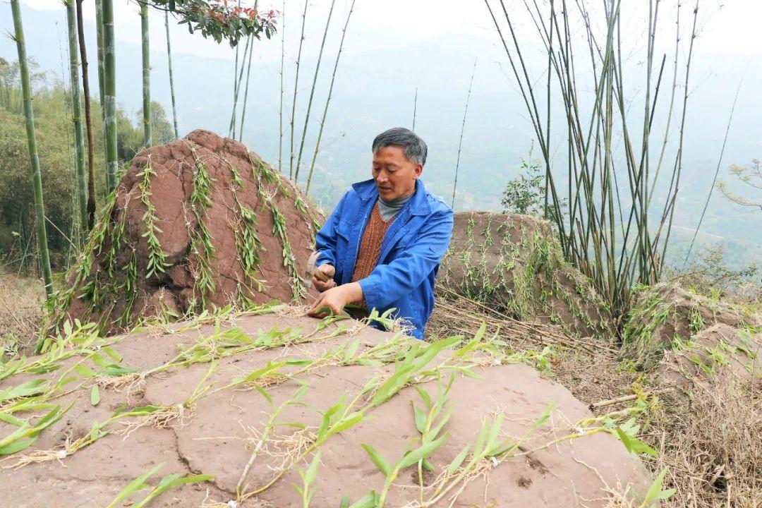 永兴官方网站，探索未来，连接梦想的桥梁✅✅✅永兴网址