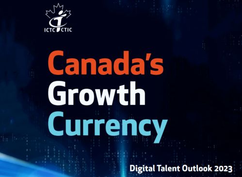 加拿大28PC，揭秘与理性探讨✅✅✅