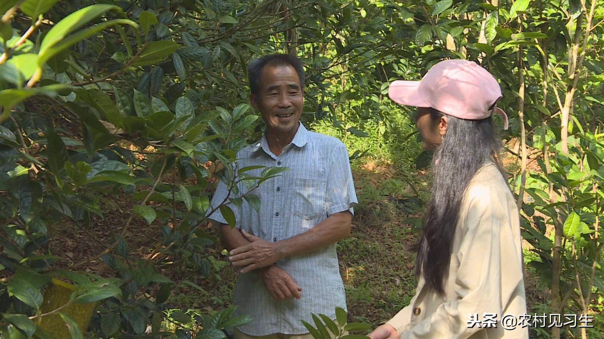 警惕网络陷阱，揭秘摇钱树金花APP的虚假下载与潜在风险 🚫✅✅✅摇钱树金花app下载入口官网