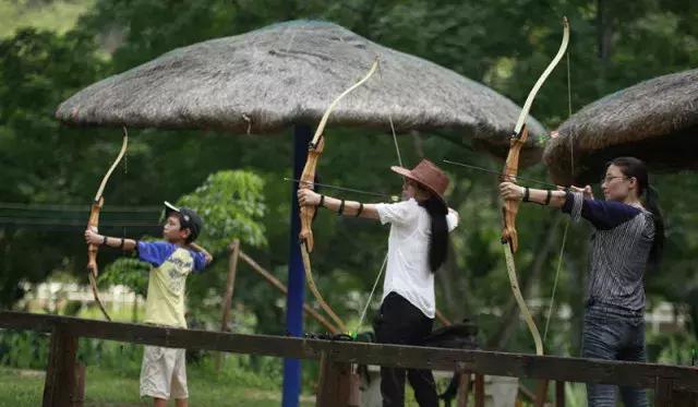 探索芒果棋牌的数字乐园，一场色彩斑斓的智慧与娱乐盛宴✅✅✅芒果棋牌官网 inuRl:安卓版v7 | 棋牌 INURL:hlzxc