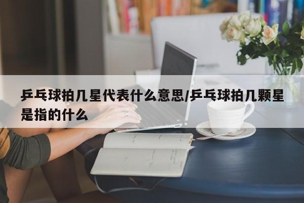 乒乓球拍几星代表什么意思/乒乓球拍几颗星是指的什么