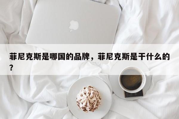 菲尼克斯是哪国的品牌，菲尼克斯是干什么的？